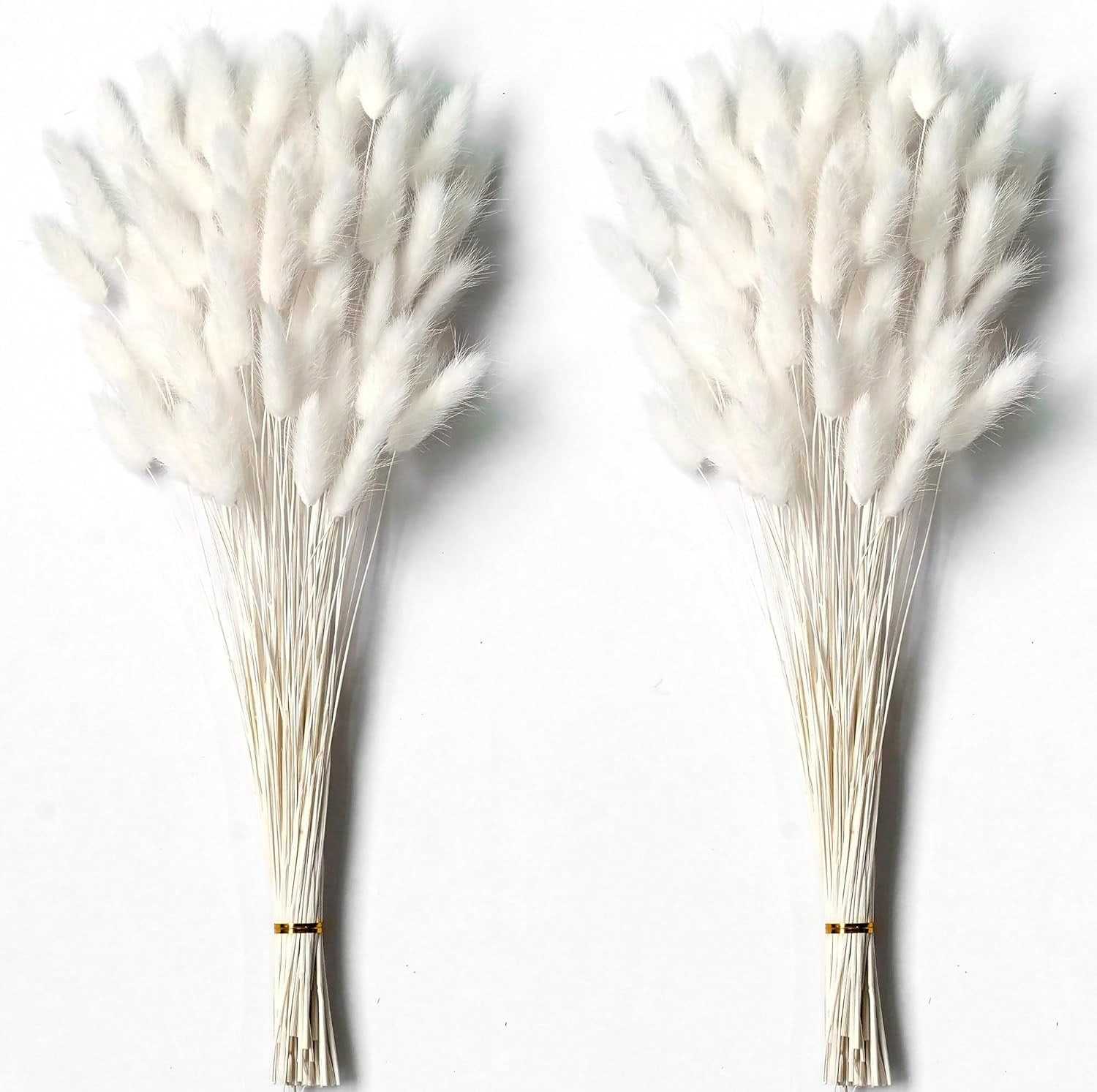 Pampas Grass Decor - 120 PCS แห้ง Pampas Grass Decor