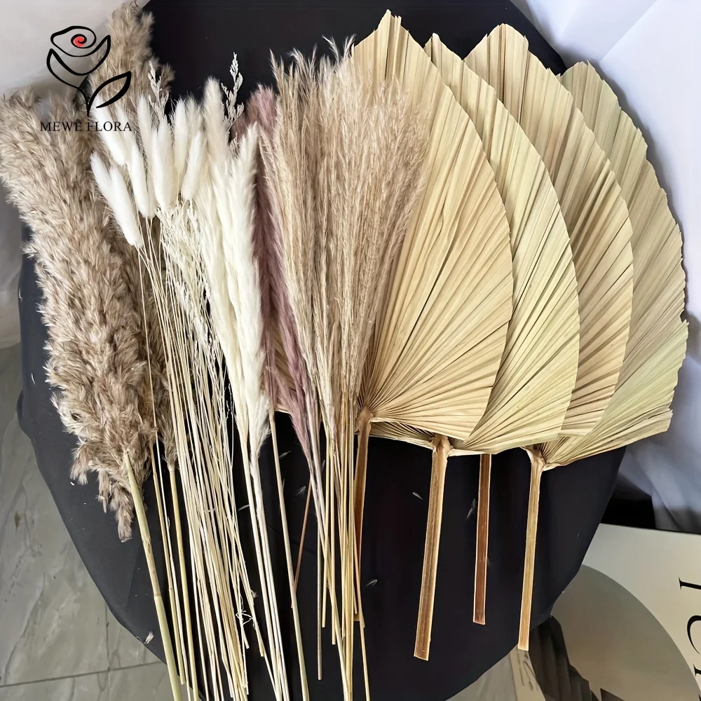 35 ชิ้นธรรมชาติ Pampas Grass B - Pampas Grass Decor บทวิจารณ์และราคา